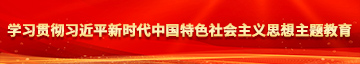 大鸡巴黑虎网站学习贯彻习近平新时代中国特色社会主义思想主题教育